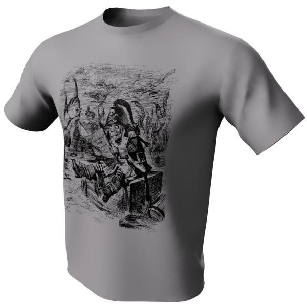 Treasure Pirate T-Shirt - gray